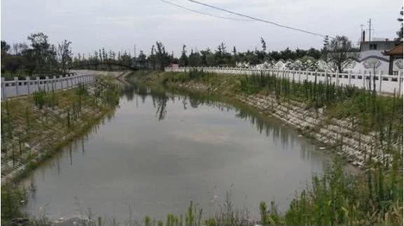 “中国桔梗之乡”太和县李兴镇,有李兴的朋友吗?为家乡点赞啦